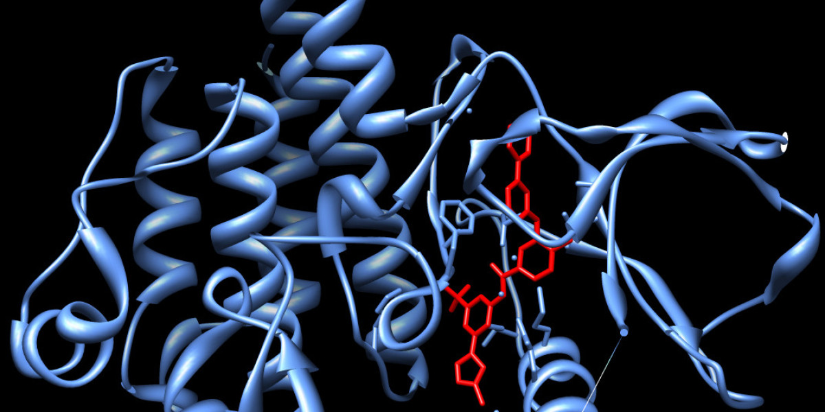 Understanding Kinase Inhibitors Market: A Breakthrough in Targeted Therapy