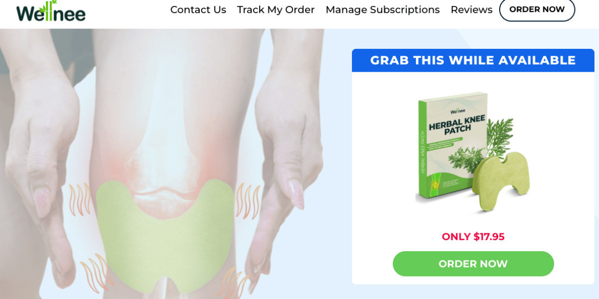 Wellnee Pain Relief Patches United States Price For Sale Working & Reviews [Updated 2025]