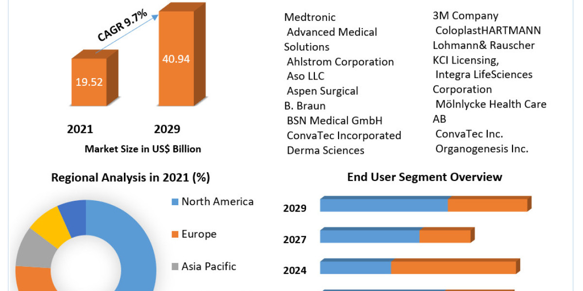 Wound Dressings Market Size and Expansion Trends – A 2029 Forecast