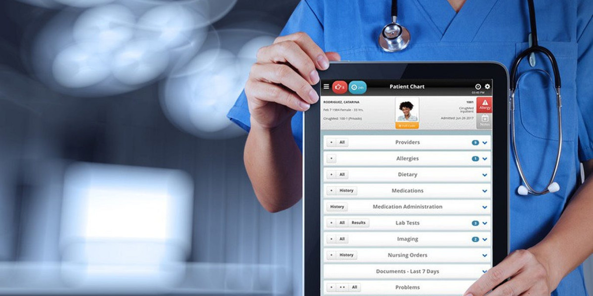 Transforming Healthcare: Insights into the Hospital Information Market
