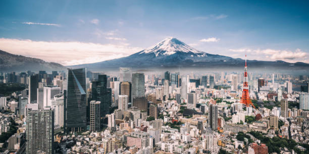 Best Tokyo Tours for Families: Fun and Educational Adventures