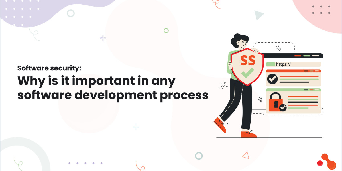 Software security: Why is it important in any software development process
