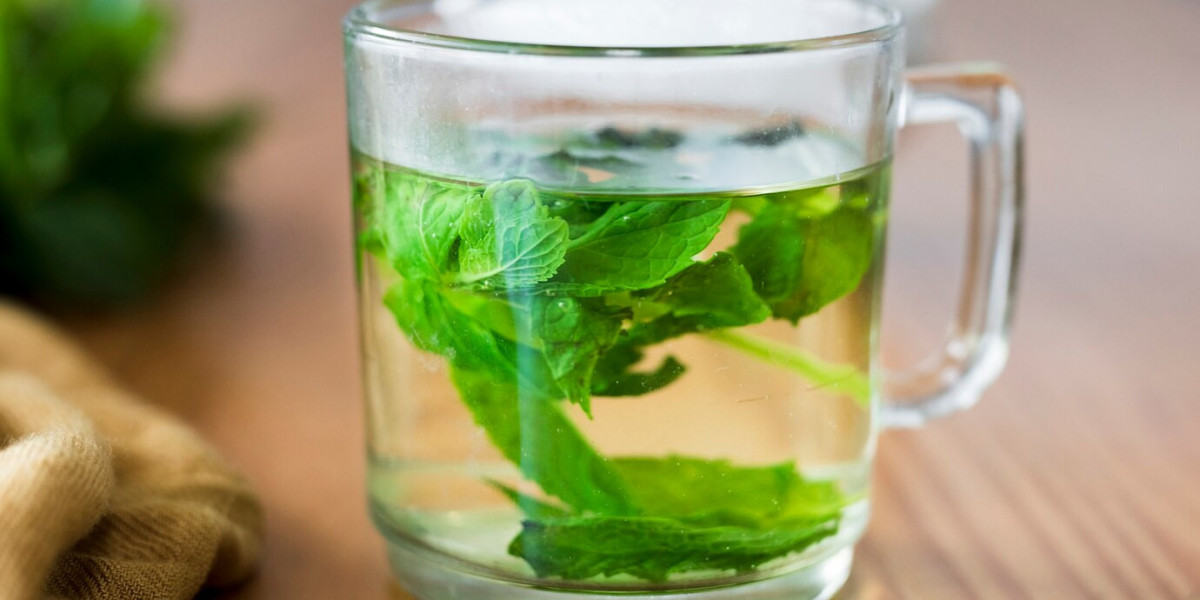 Herb Infused Water Market Hinderances Competition from Traditional and Functional Beverages