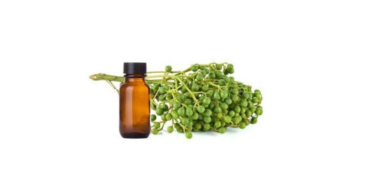 Top 8 Steps for Establishing a Litsia Oil Processing Plant