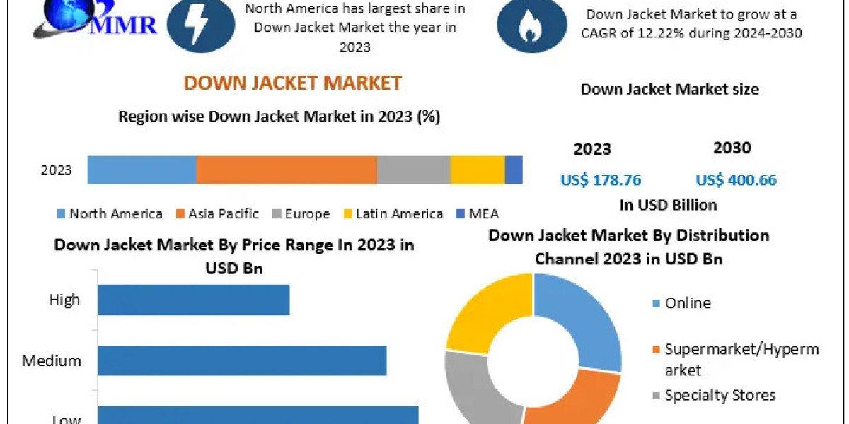 Down Jacket Market Gains Traction as Urban Consumers Embrace Casual Winter Wear