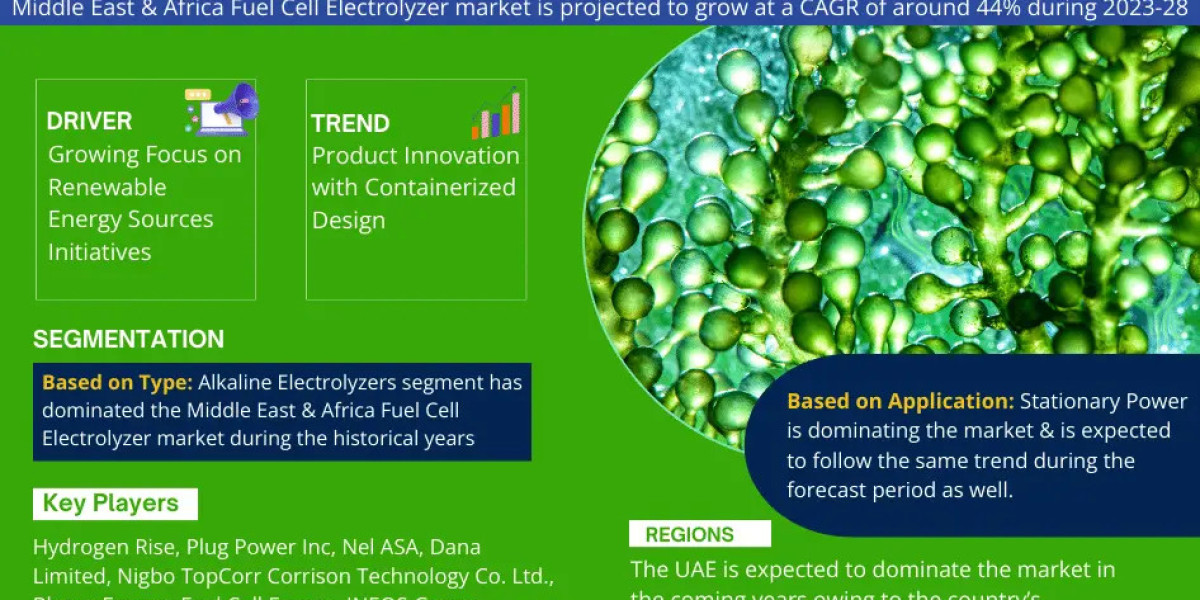 Middle East & Africa Fuel Cell Electrolyzer Market Comprehensive Analysis and Forecast 2023 to 2028
