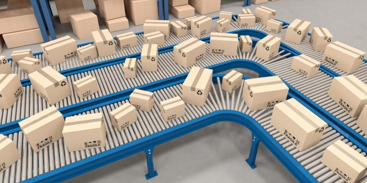 Global Sortation System Market: Trends, Growth Drivers, and Future Outlook