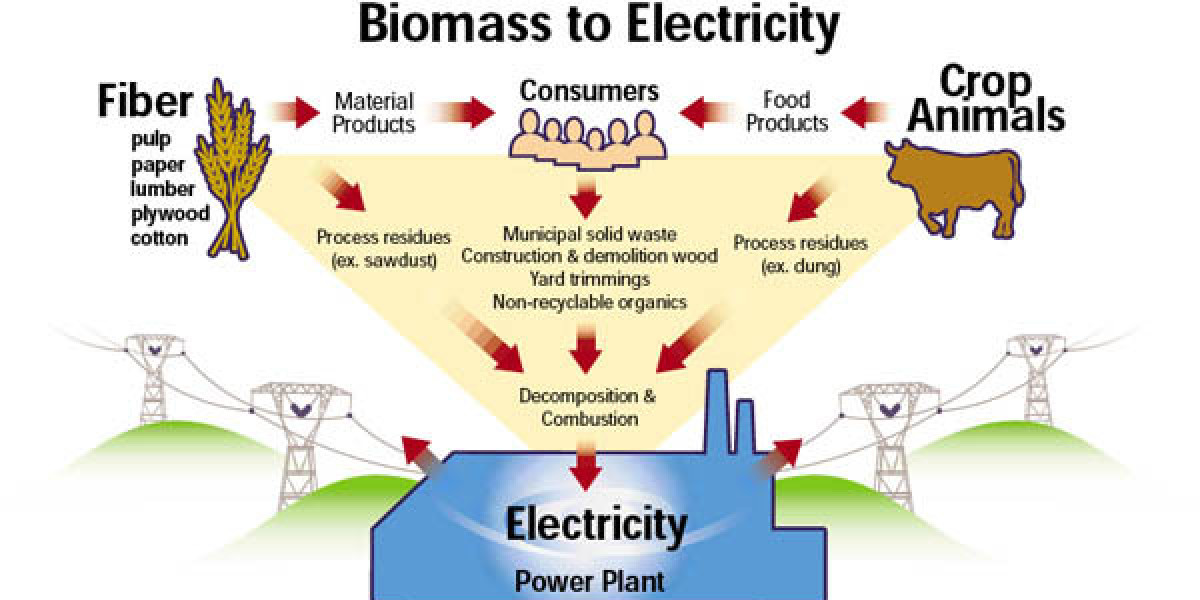 Biomass Electricity Market worth USD 224.16 Billion Globally by 2035 with  6.4% CAGR | Exclusive Report by We Market Res