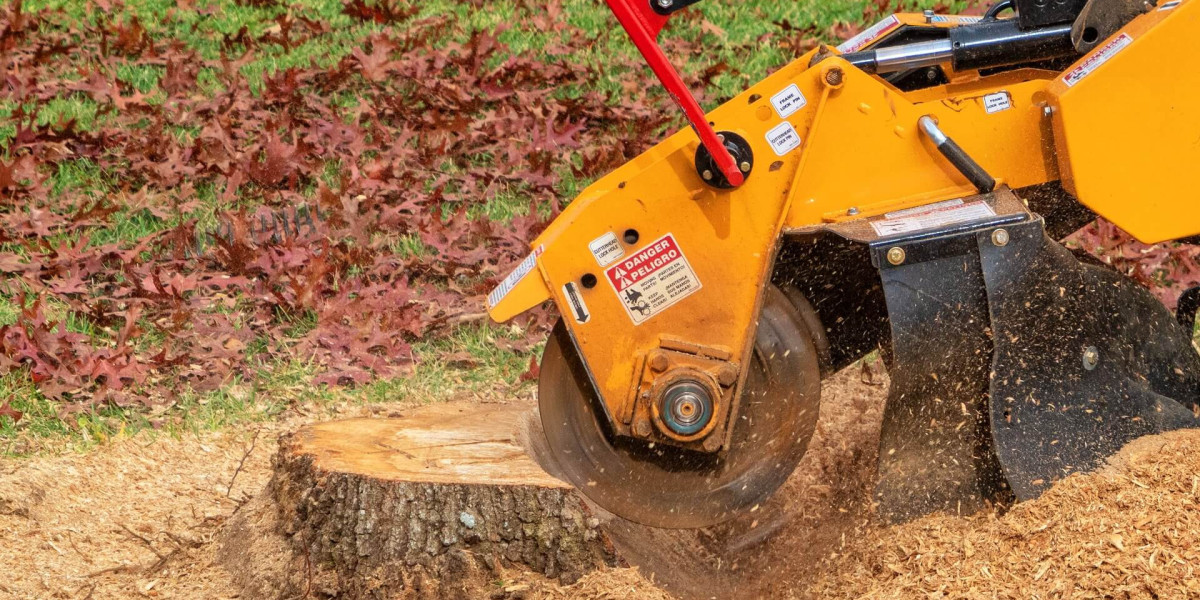Yarmouth's Most Trusted Stump Removal and Tree Experts