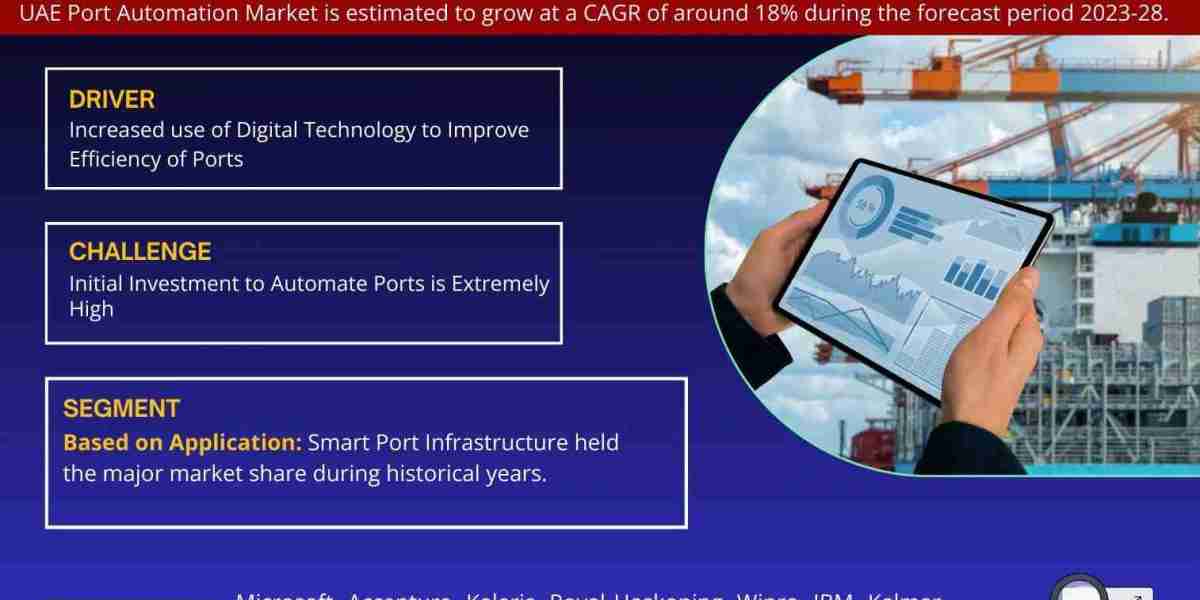 UAE Port Automation Market Comprehensive Analysis and Forecast 2023 to 2028
