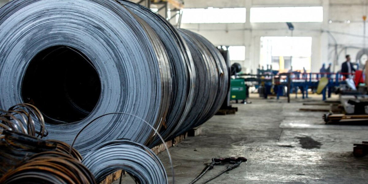 Unlocking Efficiency: A Deep Dive into the Non-Grain Oriented Electrical Steel (NOES) Market