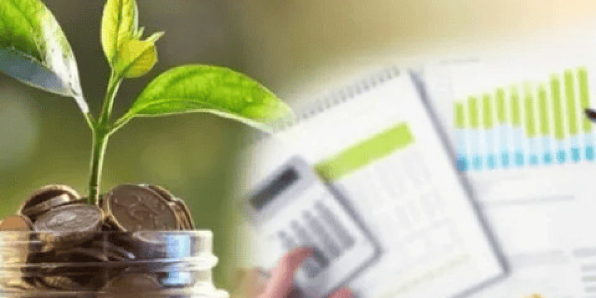 Microfinance vs Traditional Banking: Which Is Better for Small Borrowers?