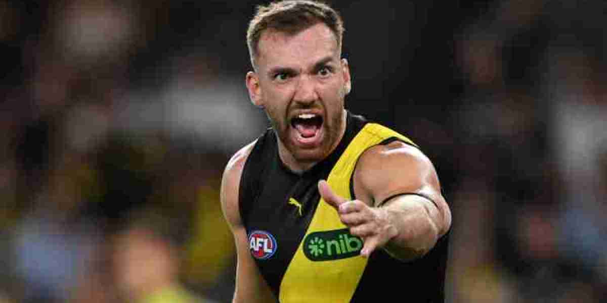 AFL's Accountability Crisis: Balta's Case Analysis