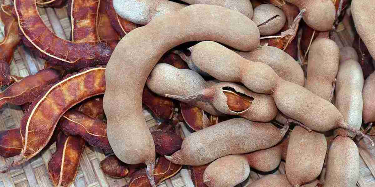 Tamarind Processing Plant 2025: Detailed Project Report, Raw Materials Cost and Unit Setup