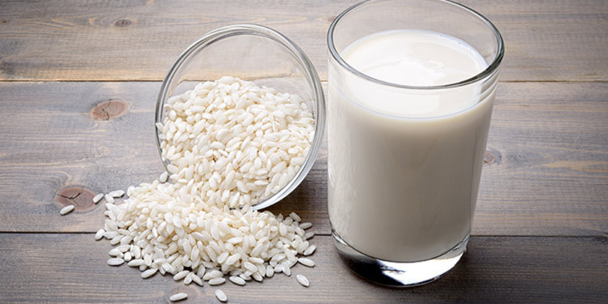 A Comprehensive Analysis of the Rice Milk Market: Opportunities and Challenges