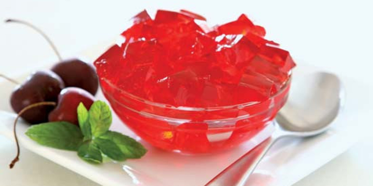 8 Steps to Establish a Successful Gelatin Manufacturing Plant