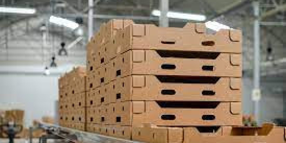 Industrial Packaging Market: Driving Efficiency and Safety in Global Supply Chains