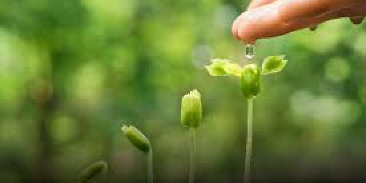 The Rising Tide of Green Finance Market: Opportunities and Trends in a Greener Economy