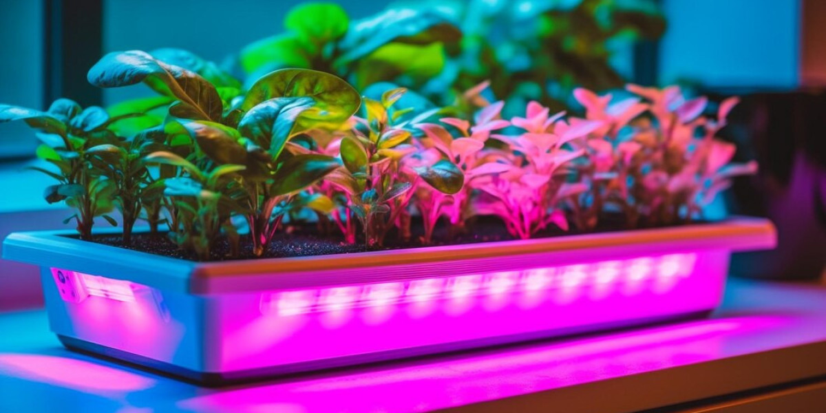 Illuminating Growth, Share, Trends and Innovations in the Horticulture Lighting Market