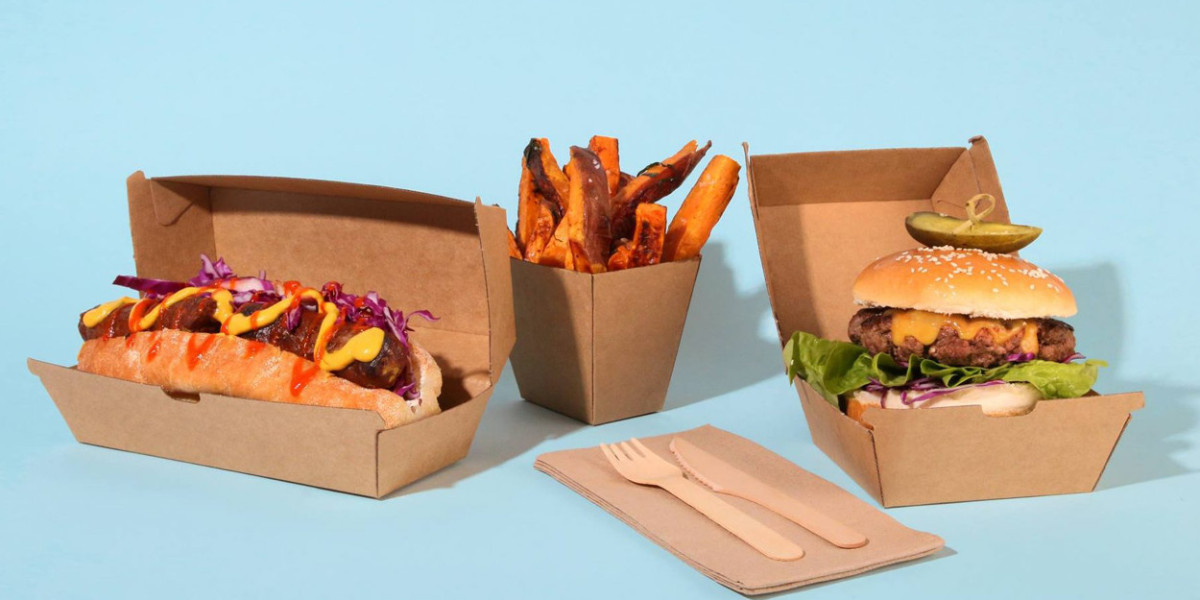 Consumer Preferences and Innovations in the Packaged Burgers Market