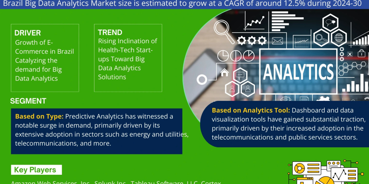 Brazil Big Data Analytics Market Comprehensive Analysis and Forecast 2024 to 2030