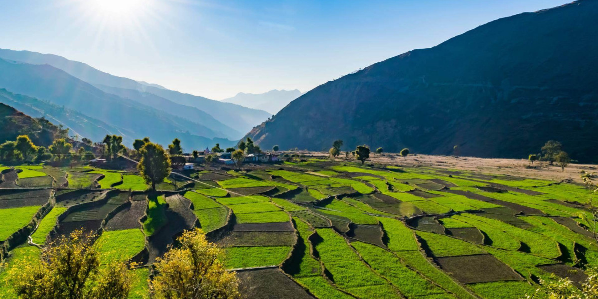 Hill Stations in Uttarakhand: Pack Your Bags and Take Ghughuti!