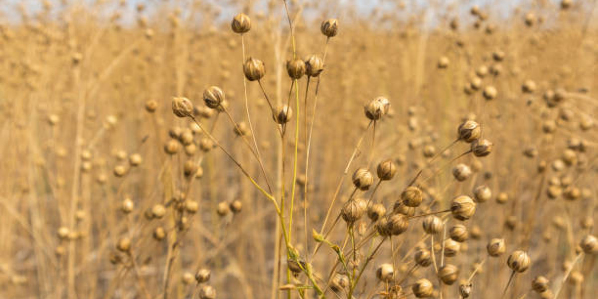 Global Flax Seeds Market Size, Share, Forecast 2023 - 2033