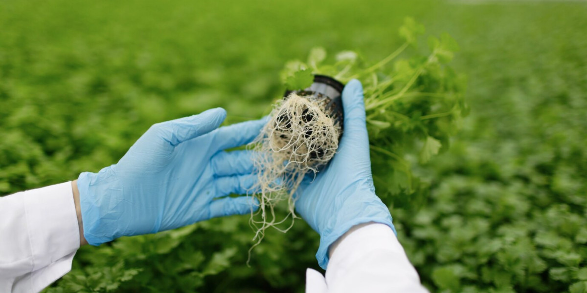 The Booming Biostimulants Market: Sustainable Agriculture’s Secret Weapon