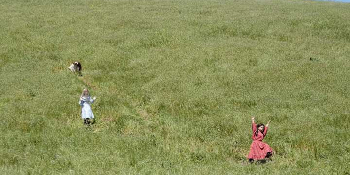 Little House on the Prairie - Netflix's New Series