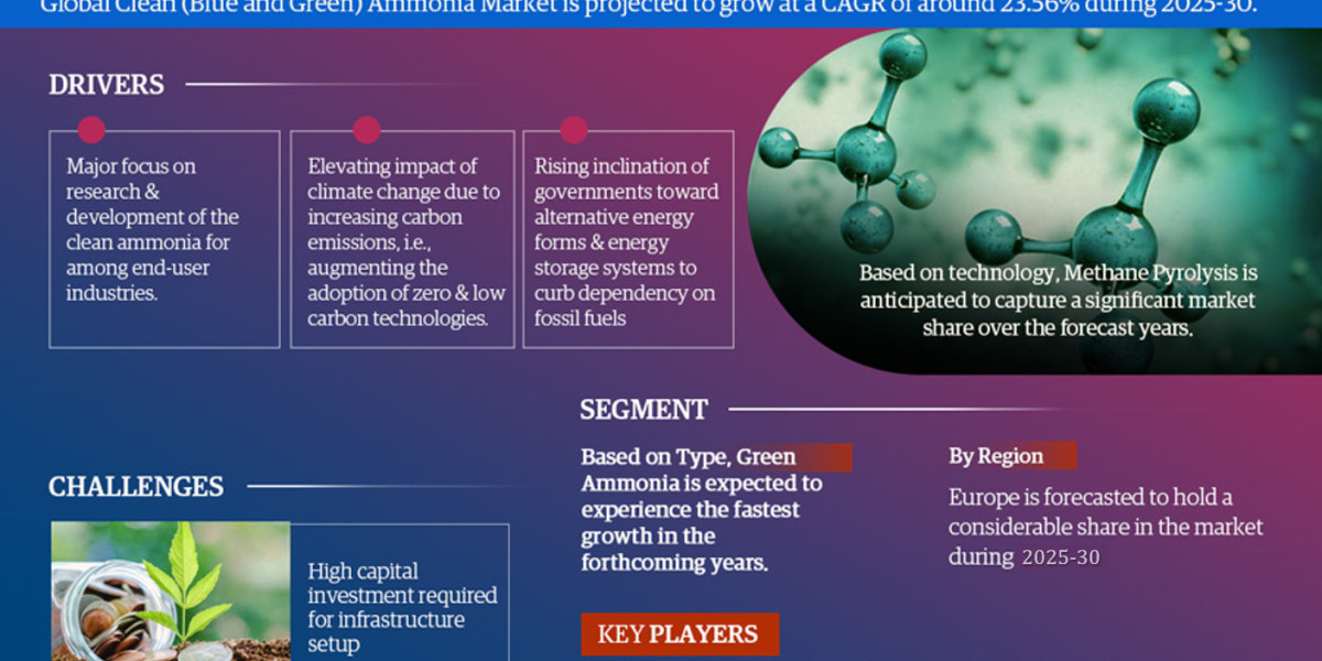 Global Clean Ammonia (Blue and Green) Market Comprehensive Analysis and Forecast 2025 to 2030