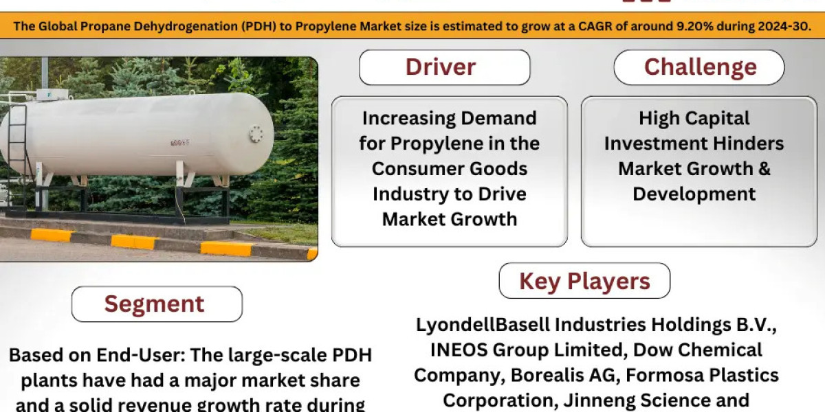 Global Propane Dehydrogenation (PDH) to Propylene Market Comprehensive Analysis and Forecast 2024 to 2030