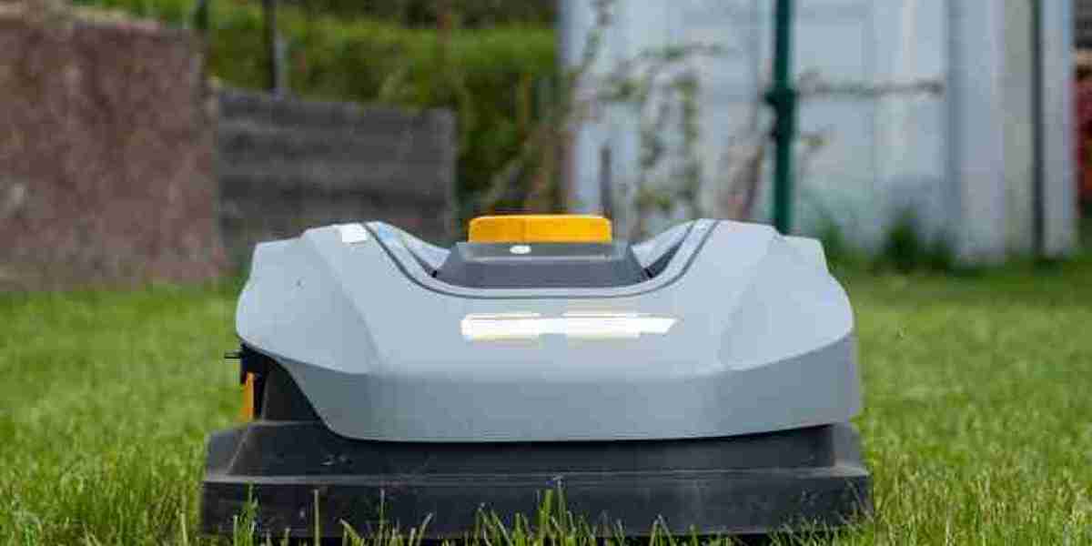 The Future of Lawn Care: Europe's Robotic Lawn Mower Market Growth & Trends