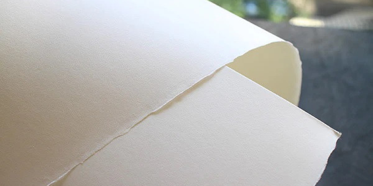 8 Key Factors to Establish a Successful Bamboo Paper Manufacturing Plant: Raw Materials Requirement