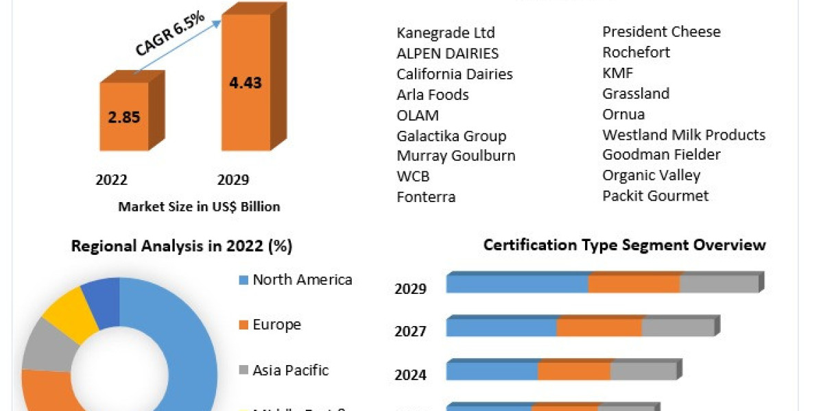 Buttermilk Powder Market Segmentation and Growth Analysis by Region