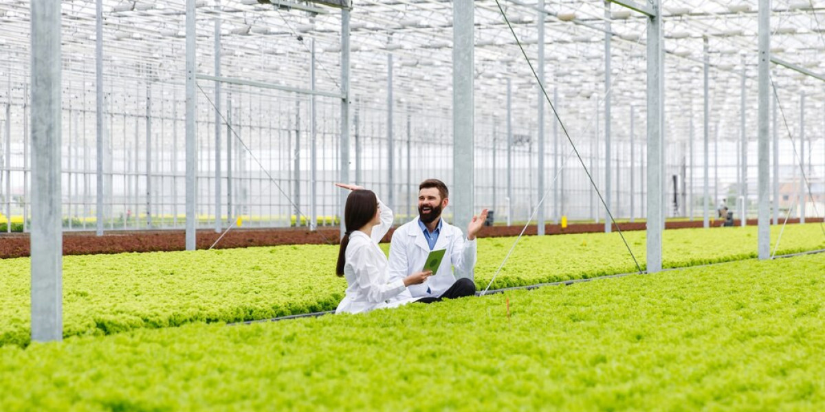 Japan’s Commercial Greenhouse Industry: Growth, Innovation, and Sustainability