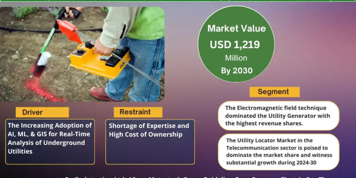 Global Utility Locator Market Comprehensive Analysis and Forecast 2025 to 2030