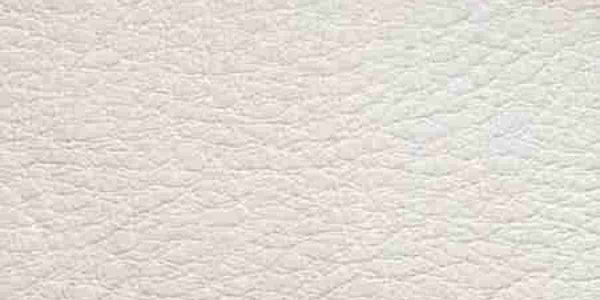 The Rise of Plant-Based Leather Market Size, Trends, and Future Outlook