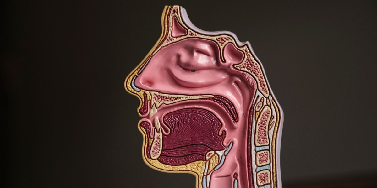 Understanding the Nasopharyngeal Carcinoma Market: Challenges and Opportunities Ahead