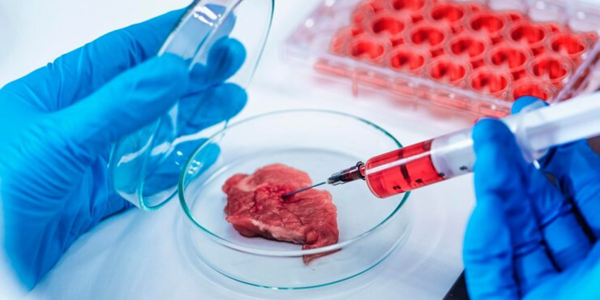 Global Transplant Diagnostics Market: Trends, Growth, and Future Outlook (2024-2032)