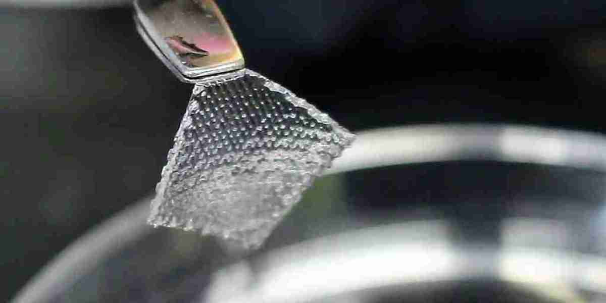 Hydrogel Market Trends: Innovations and Growth Opportunities