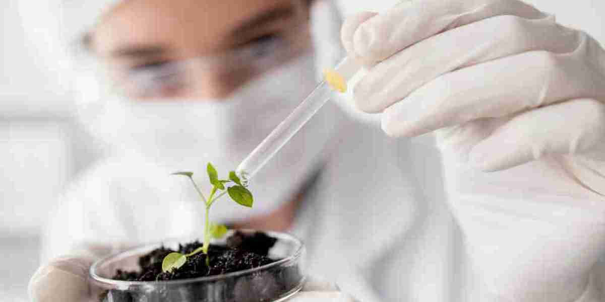 Biomaterials Market Analysis: Key Players, Trends, and Opportunities