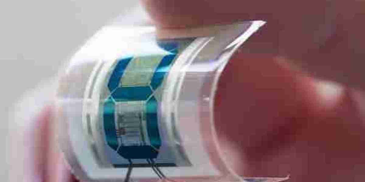 Organic Electronics Market: Size, Share, and Future-Forward Innovation