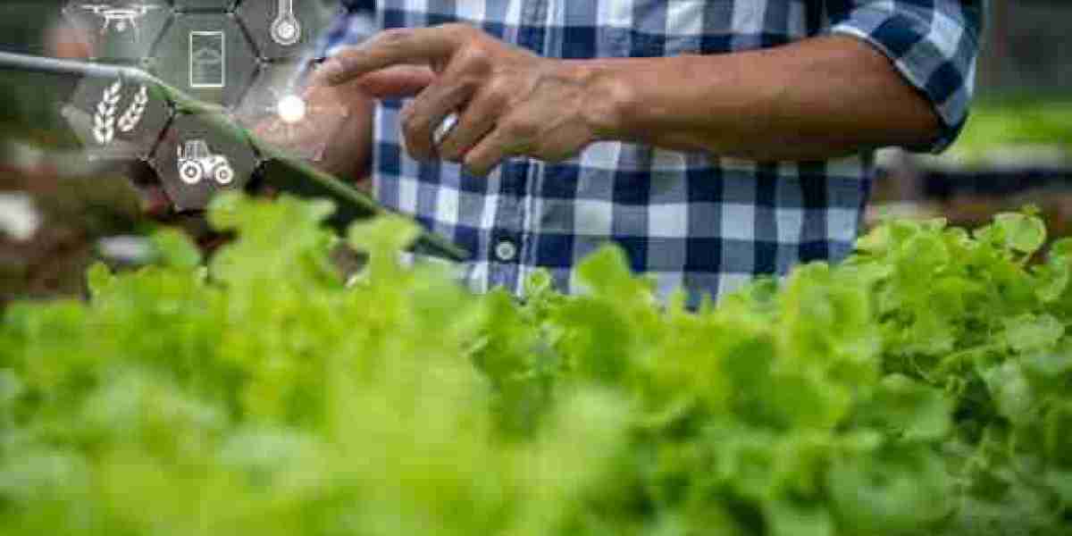 Augmented Reality in Agriculture Market: Cultivating the Future of Farming