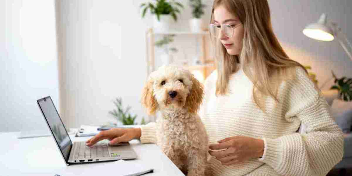 Exploring the Global Pet Insurance Market: Opportunities and Challenges