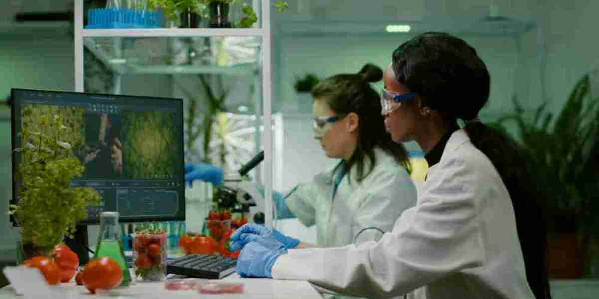 How the Bioinformatics Services Market is Transforming Healthcare & Research
