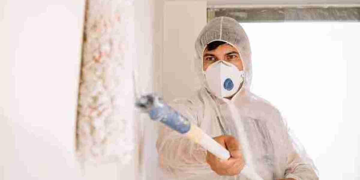 24/7 Emergency Mold Removal Services in New York City
