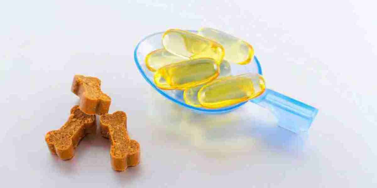 Enhancing Pet Health: Insights into the Pet Supplements Market