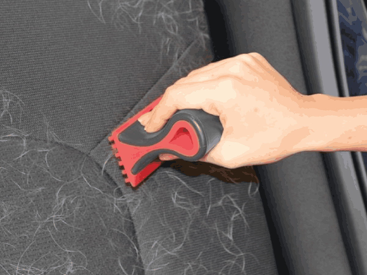 Why Pet Hair Clings to Car Seats — And How the Pros Remove It? | by XLNC Auto Beauty | May, 2025 | Medium