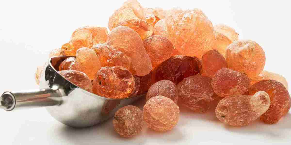 Arabic Gum Manufacturing Plant Report 2025: Investment Opportunities and Industry Trends