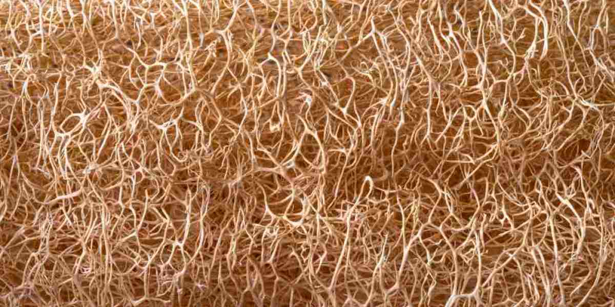 Hemp Fiber Market Trends 2025: Growth Opportunities and Key Players